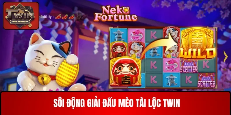 Sôi động giải đấu Mèo Tài Lộc TWIN