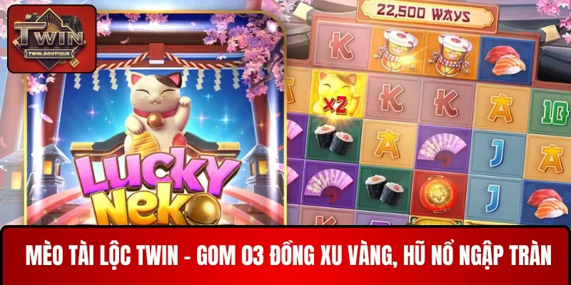 mèo tài lộc twin